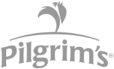 Pilgrim's-grey